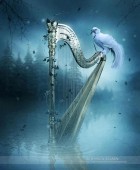 Μορφολογία